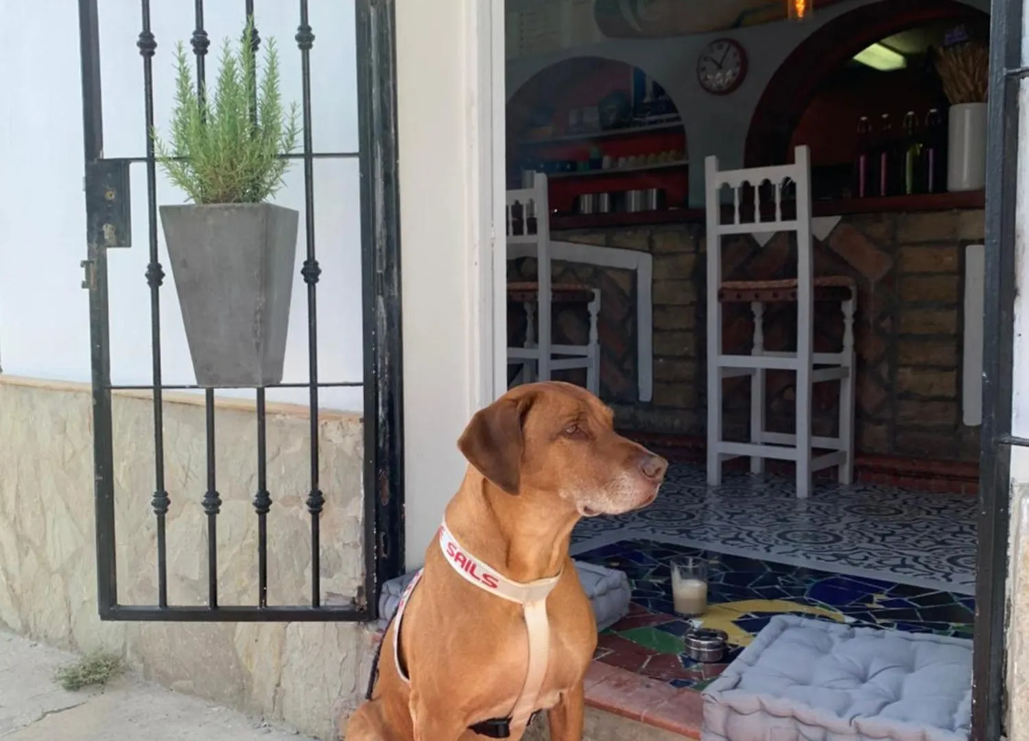El Chili Boutique Hotel Barbate